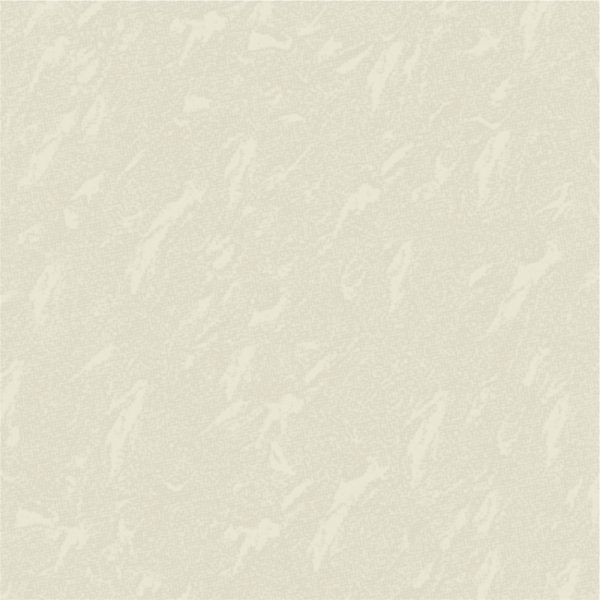 VITRIFIED TILES NANO 600×600